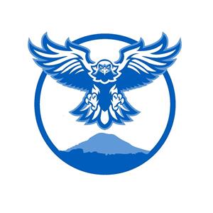Skyhawk 